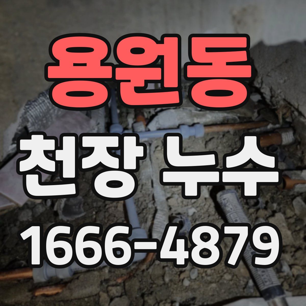 용원동 천장 누수