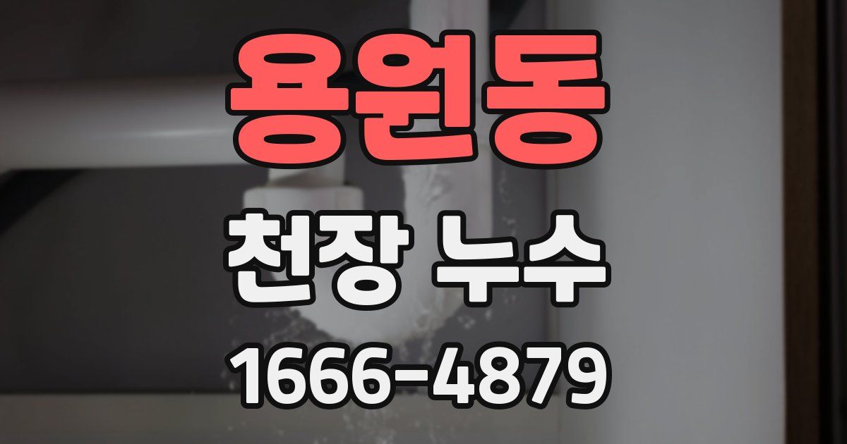 용원동 천장 누수
