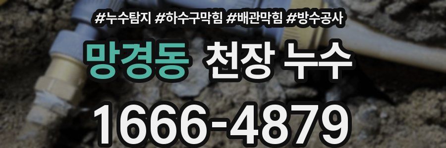 망경동 천장 누수