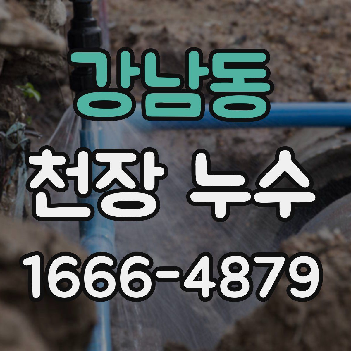 강남동 천장 누수
