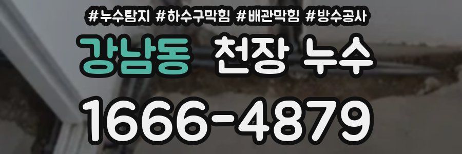 강남동 천장 누수