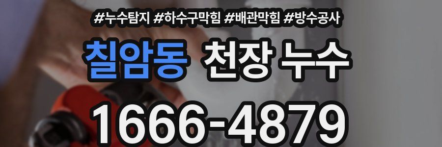 칠암동 천장 누수