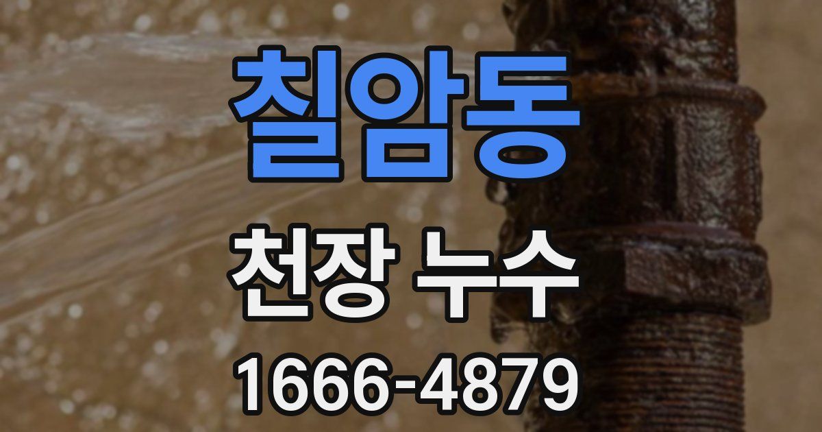 칠암동 천장 누수