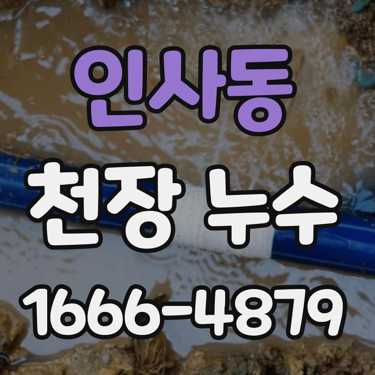 인사동 천장 누수