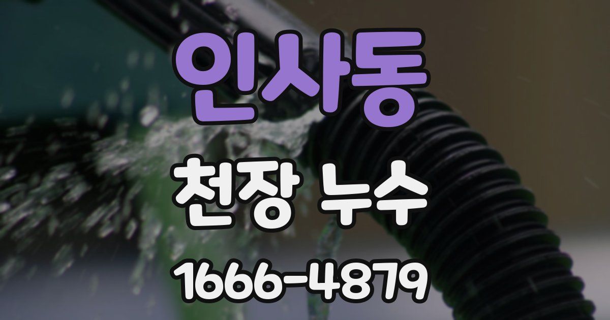인사동 천장 누수