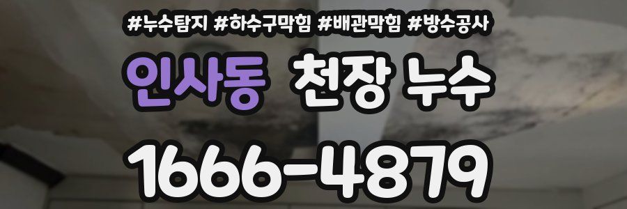 인사동 천장 누수