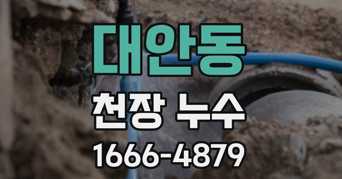 대안동 천장 누수