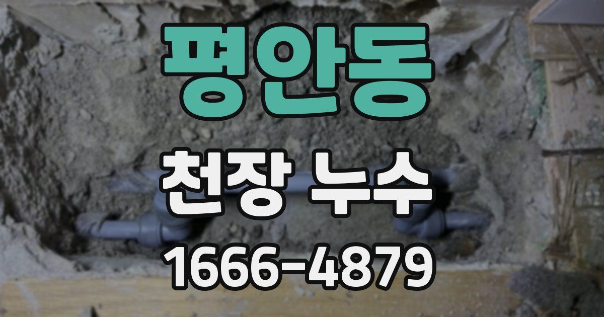 평안동 천장 누수