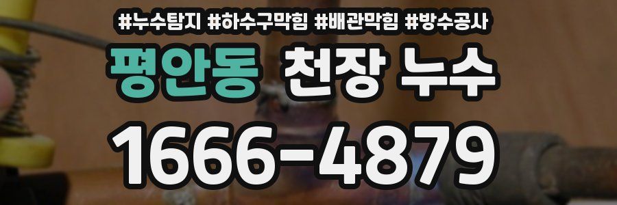 평안동 천장 누수