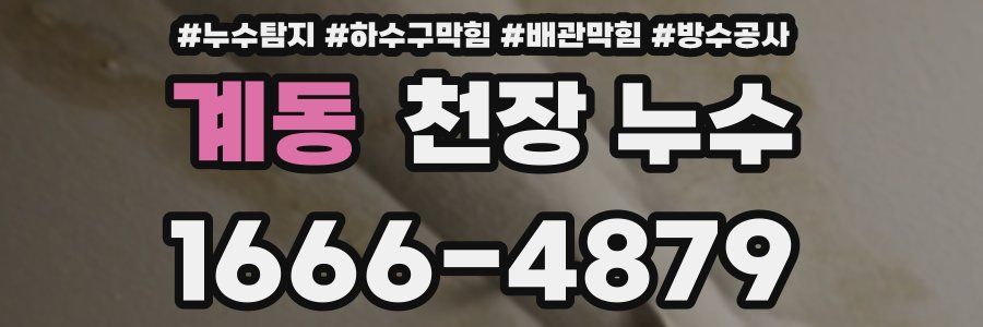 계동 천장 누수