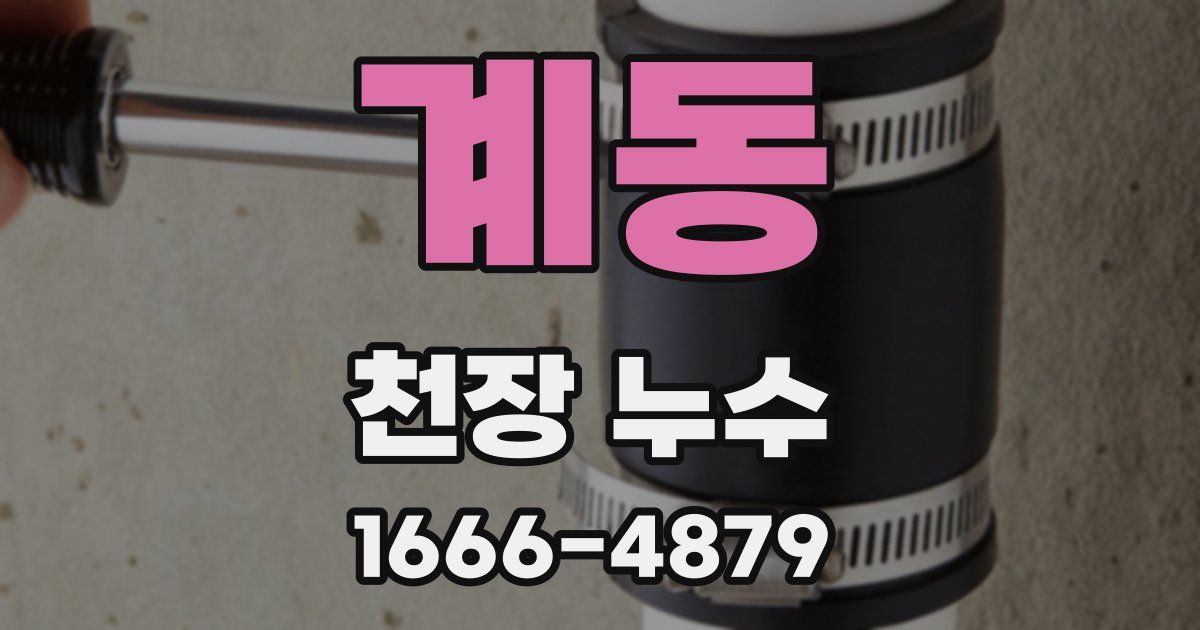 계동 천장 누수