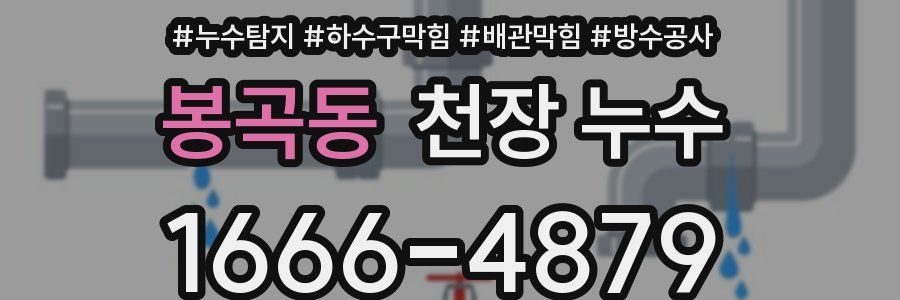 봉곡동 천장 누수