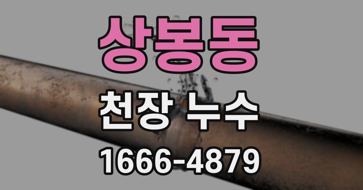 상봉동 천장 누수