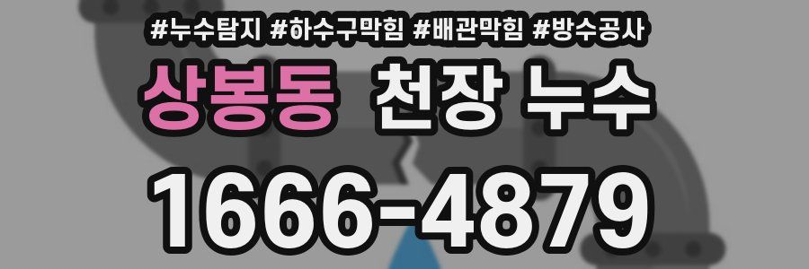 상봉동 천장 누수