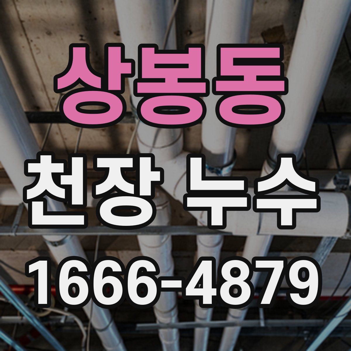 상봉동 천장 누수
