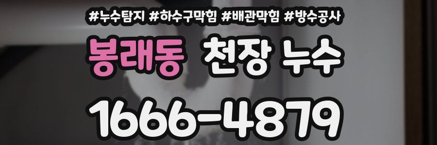 봉래동 천장 누수