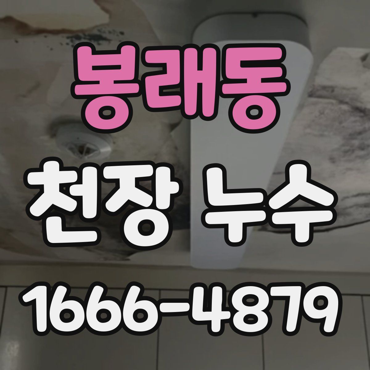 봉래동 천장 누수