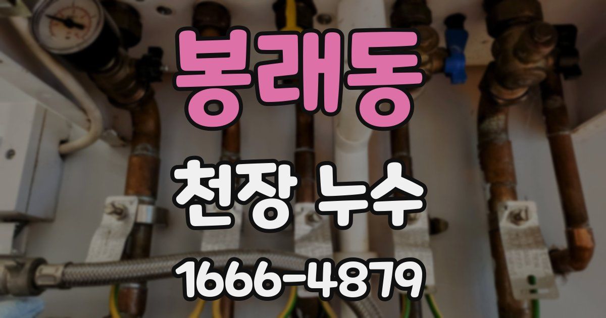 봉래동 천장 누수