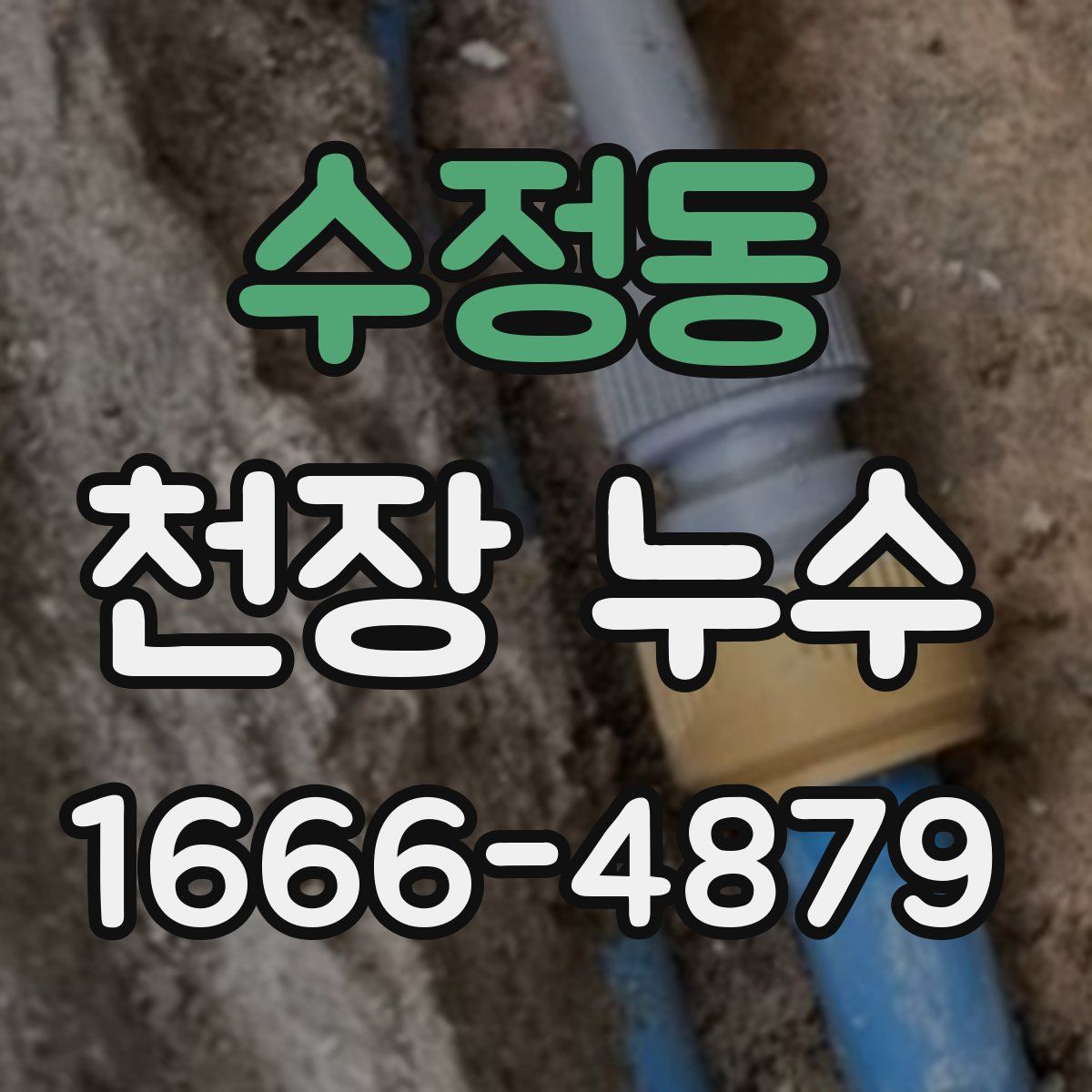 수정동 천장 누수