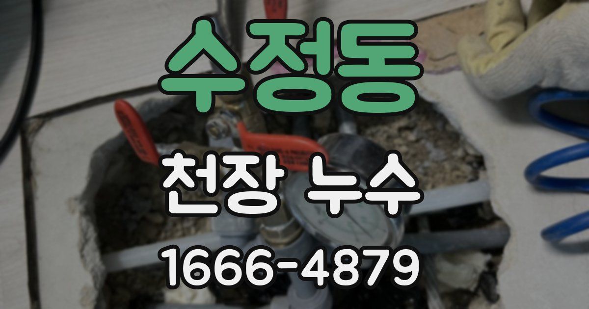 수정동 천장 누수