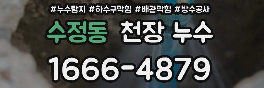 수정동 천장 누수