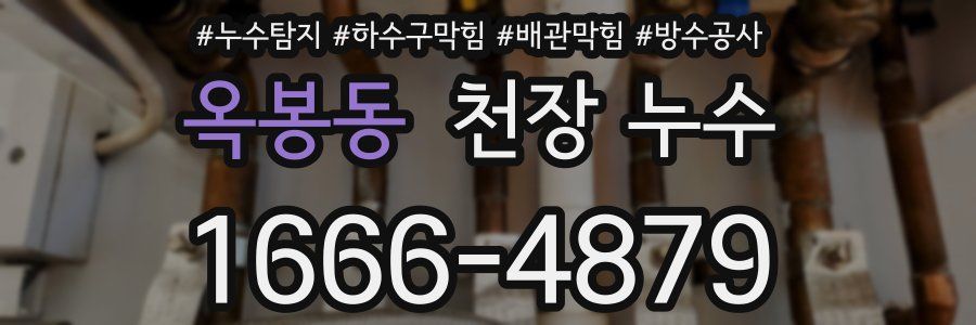 옥봉동 천장 누수