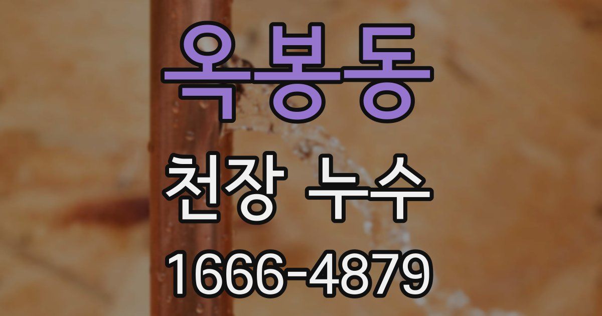 옥봉동 천장 누수