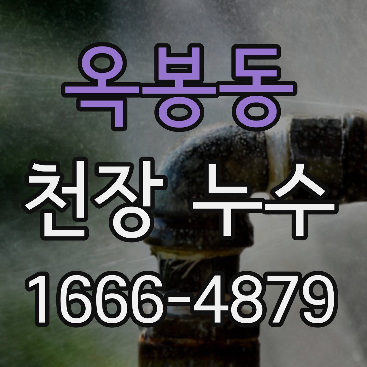 옥봉동 천장 누수