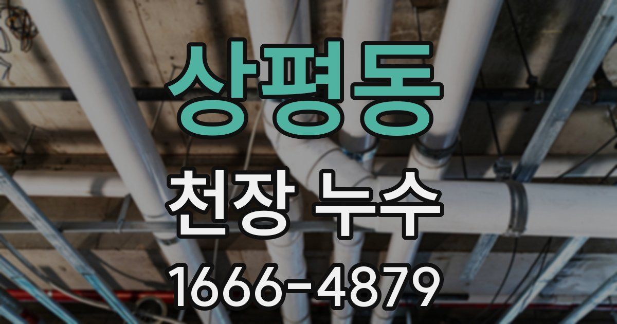 상평동 천장 누수