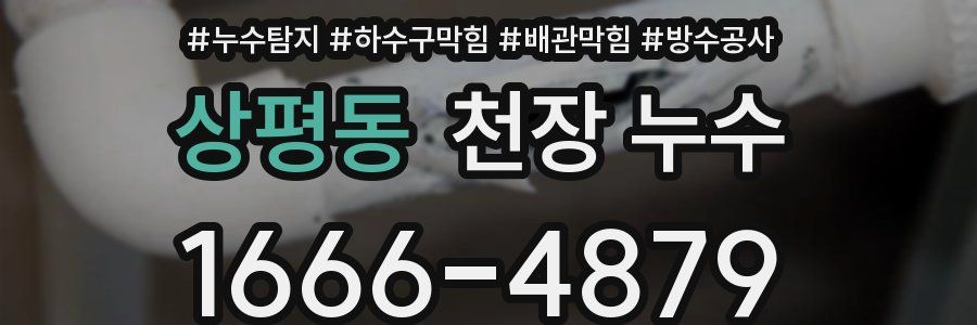 상평동 천장 누수
