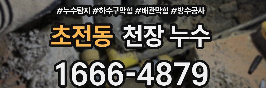 초전동 천장 누수