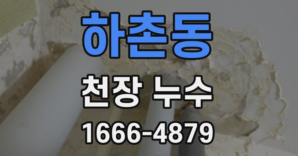 하촌동 천장 누수