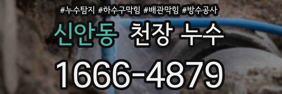신안동 천장 누수