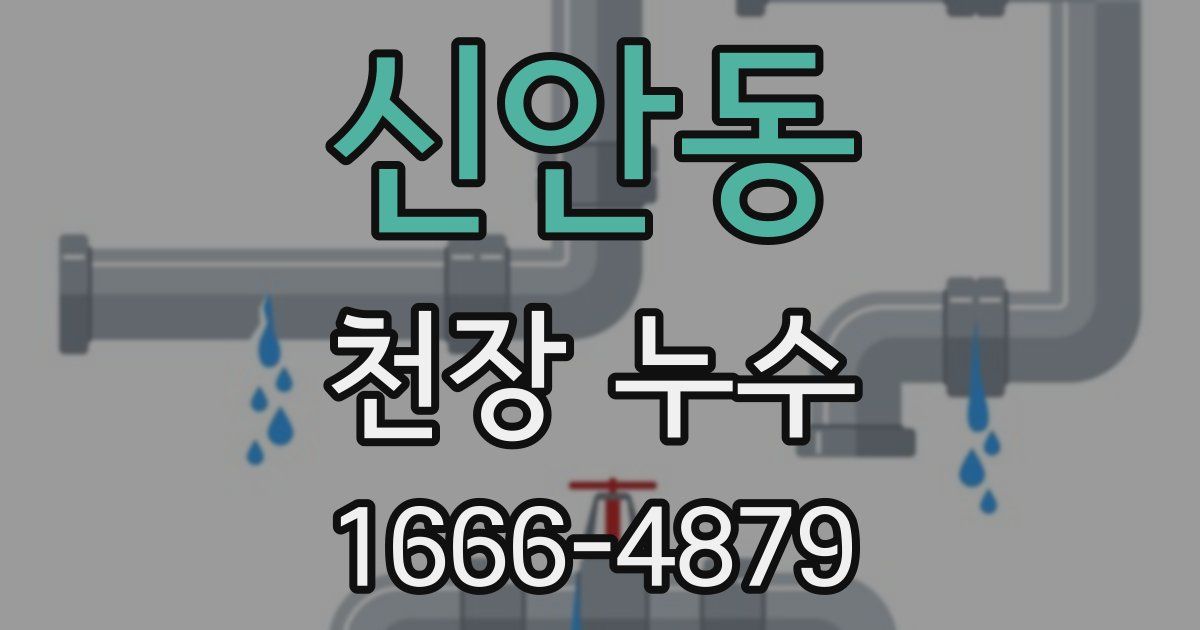신안동 천장 누수