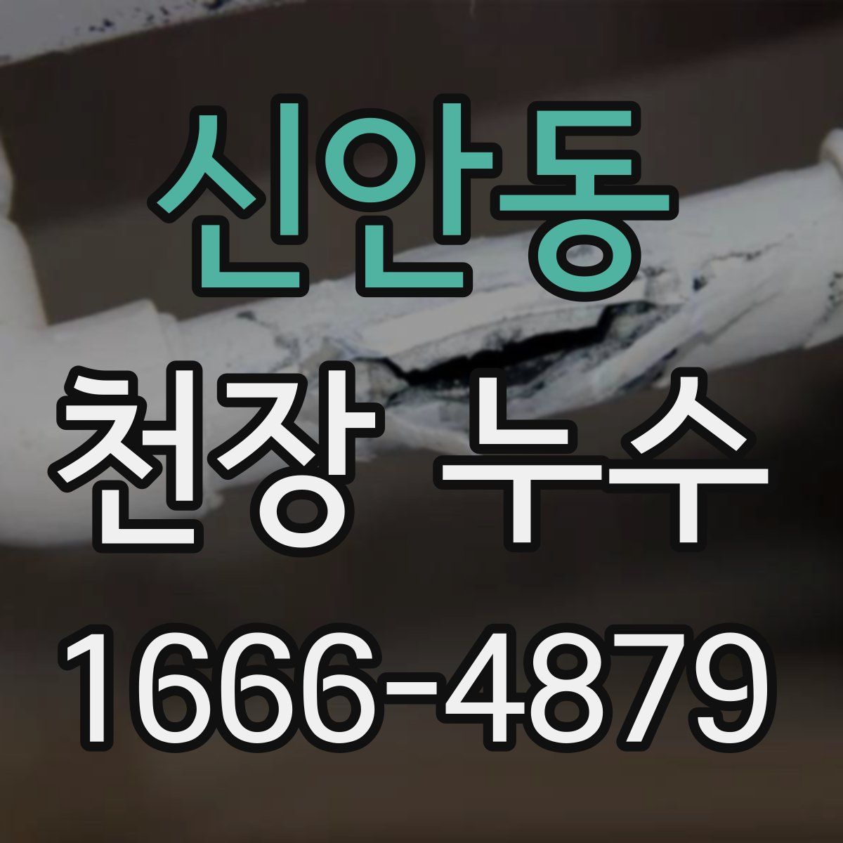 신안동 천장 누수