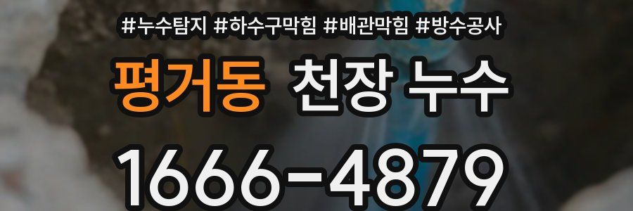 평거동 천장 누수