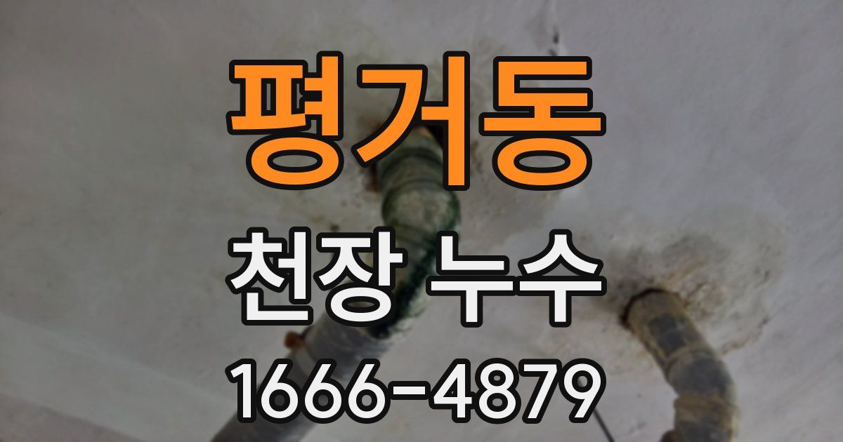 평거동 천장 누수