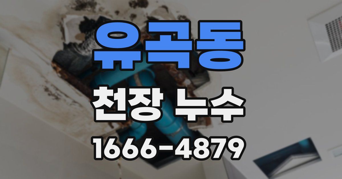 유곡동 천장 누수