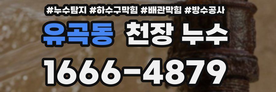 유곡동 천장 누수