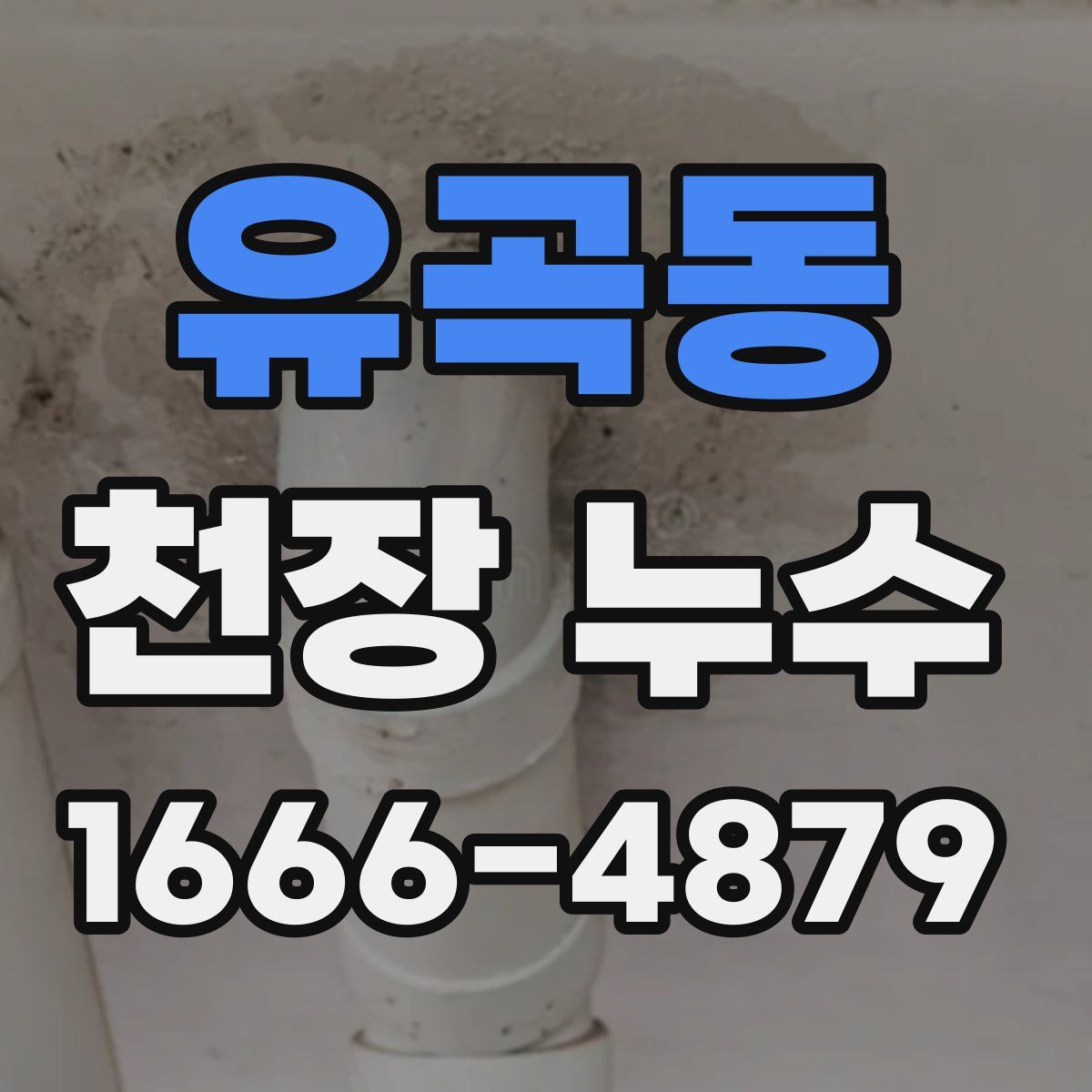 유곡동 천장 누수