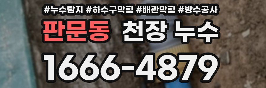 판문동 천장 누수
