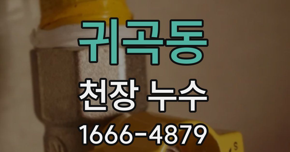 귀곡동 천장 누수