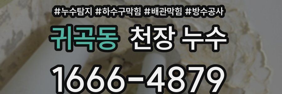 귀곡동 천장 누수