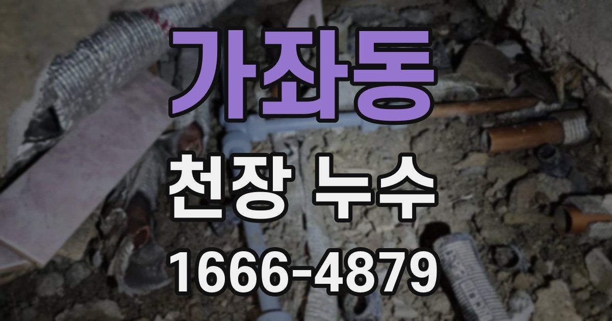가좌동 천장 누수