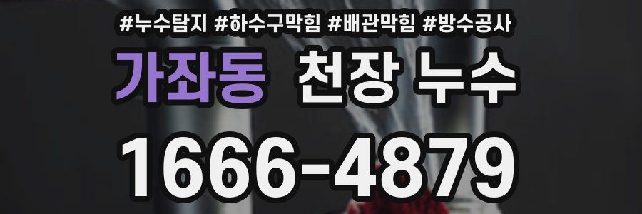 가좌동 천장 누수