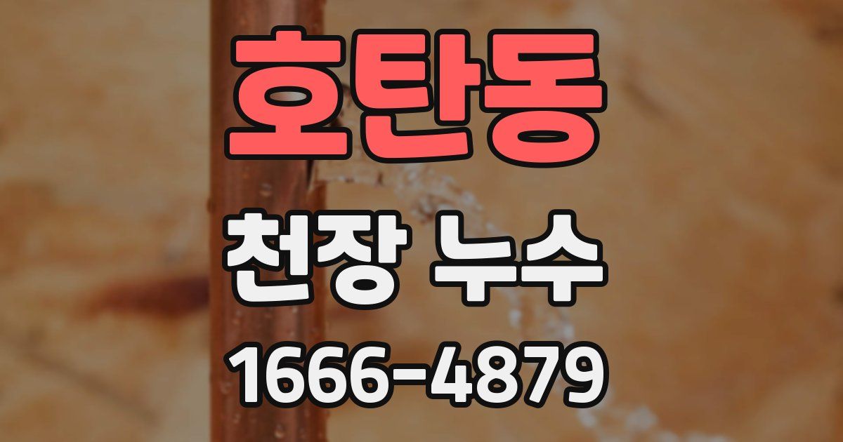 호탄동 천장 누수