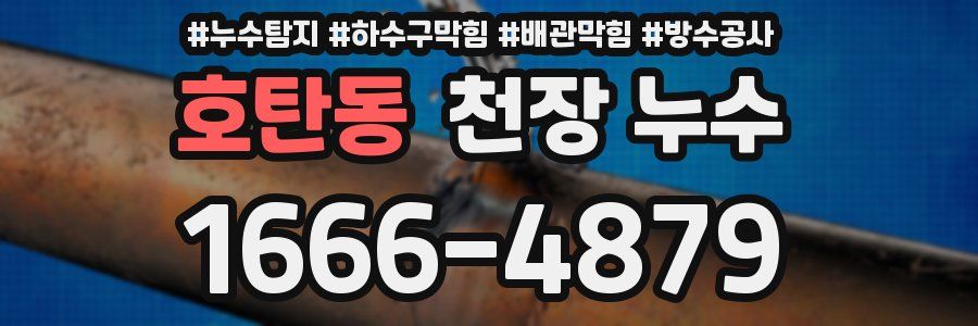 호탄동 천장 누수