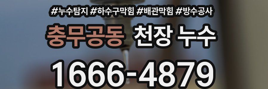 충무공동 천장 누수