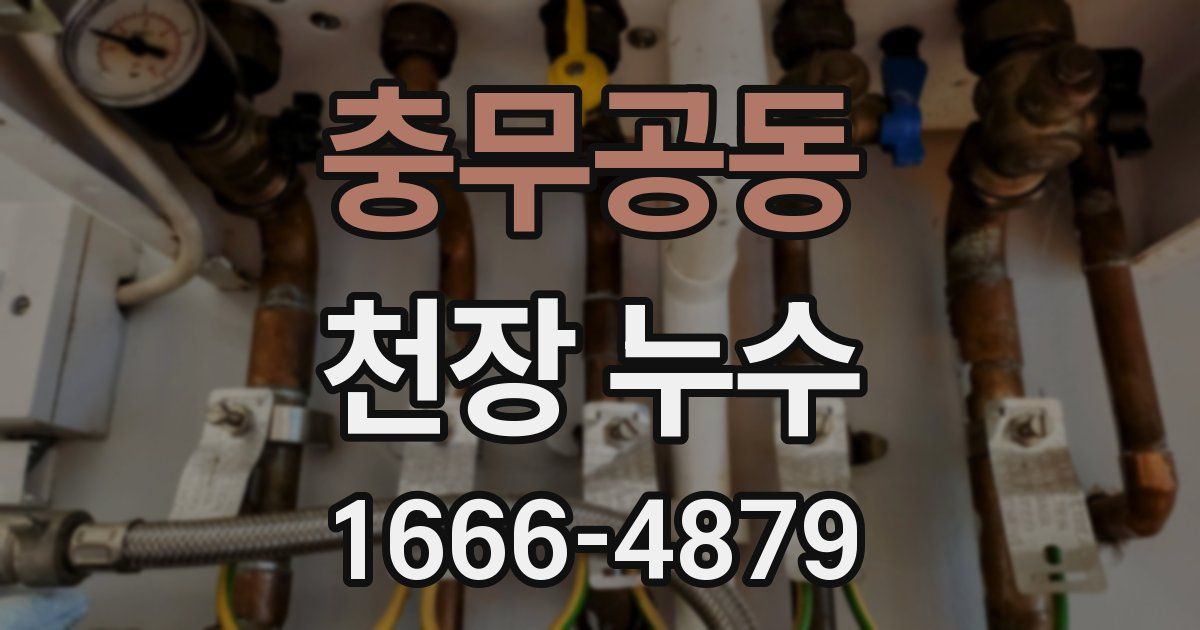 충무공동 천장 누수