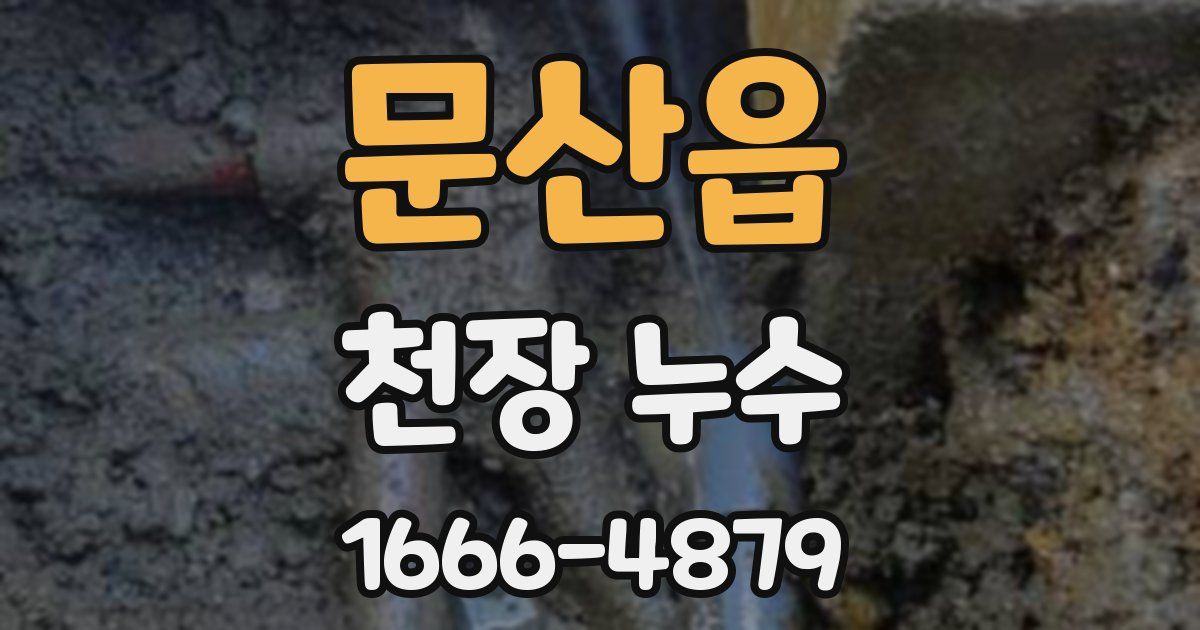 문산읍 천장 누수